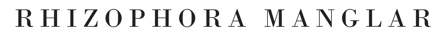 lightsteelblue-mole-669072.hostingersite.com